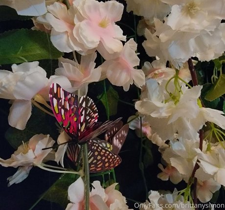 bbc cuckold onlyfans beautiful porn images