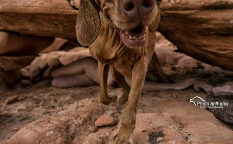 young onlyfans nude pic