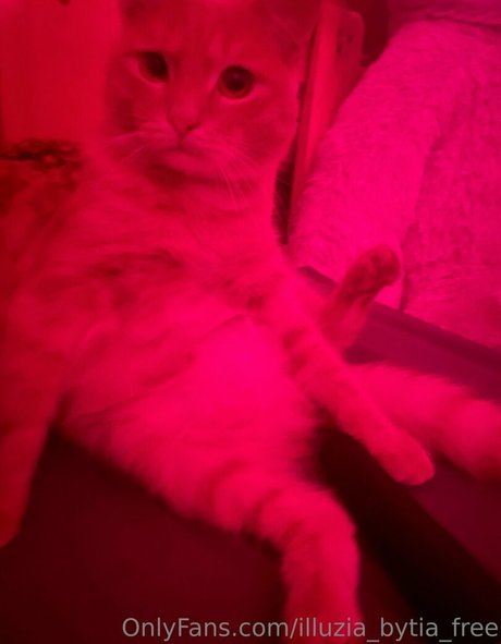 big ass lingerie onlyfans sexy nude picture