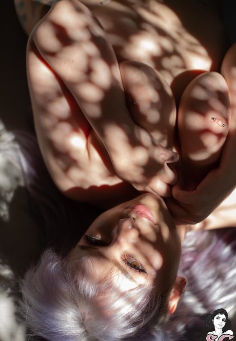 bbw tranny onlyfans pornos archive