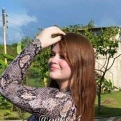 peks 4 star hd photos