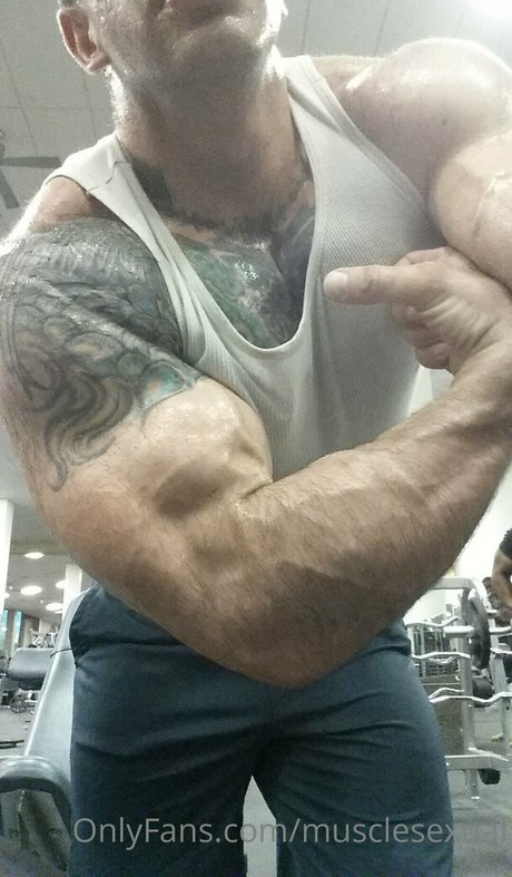 musclesexual best star galleries