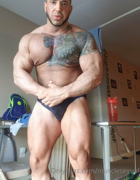 musclesexual Images