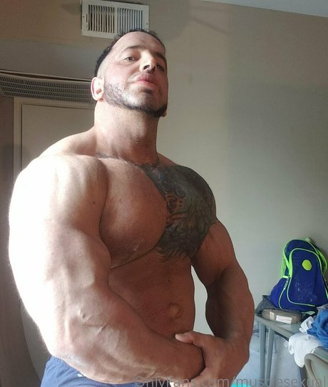 musclesexual star sex gallery