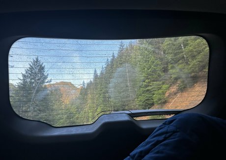 snaakecharmerr free star image