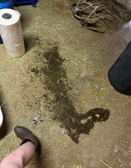 discord free onlyfans free sex picture