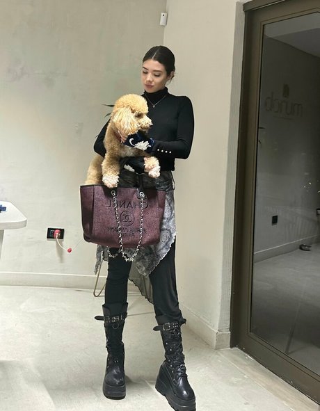 soifieeofficial Profile