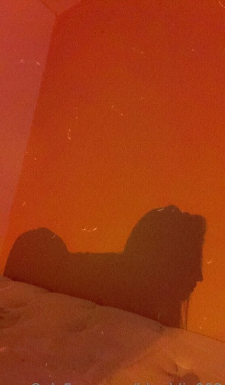 kitty princess onlyfans pretty img