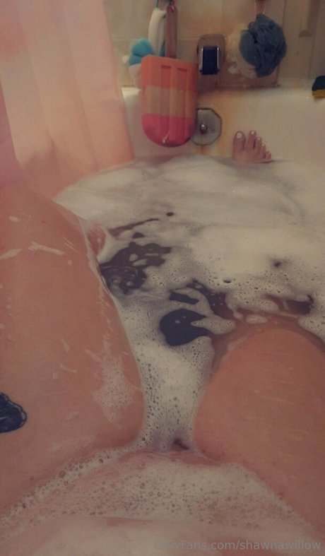 shawnawillow high quality star archive