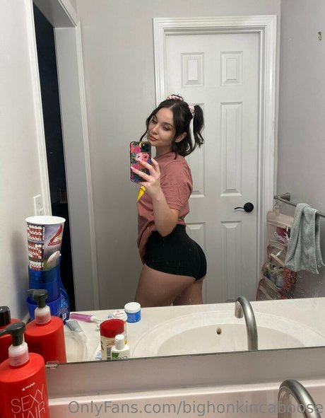 bighonkincaboose hd model photo