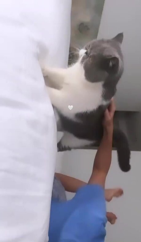 Maria Pedraza best star gallery