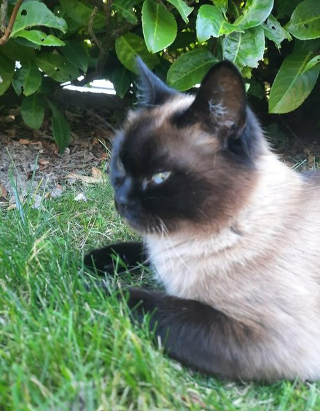 missmeismaid porn model images