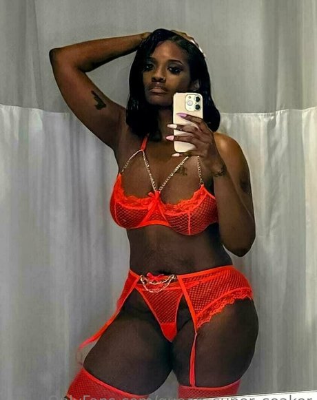 queen super soaker model free galleries