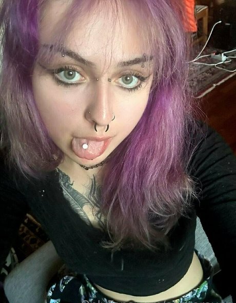 alisharaven exclusive pornstar picture