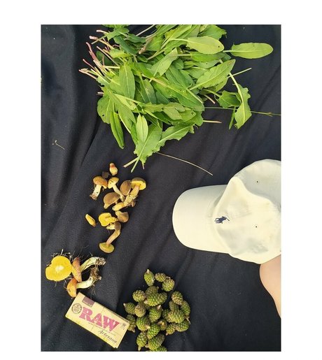 youreyeshere star pornographic image