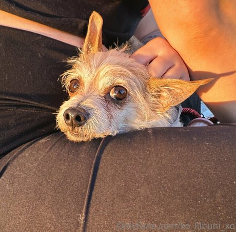 x cherrybxmb x xxx actress galleries