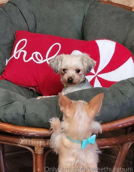 feet tease onlyfans beautiful pic