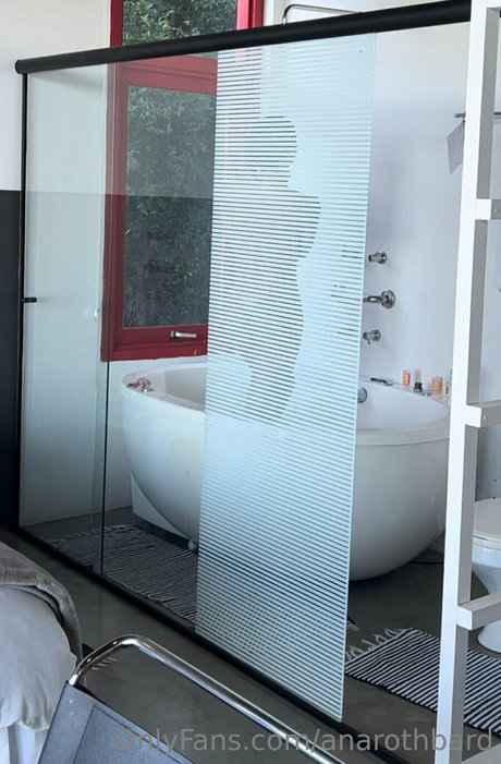 anarothbard model hd img