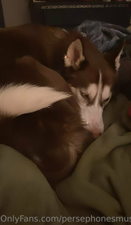 gainer onlyfans sexy nude image