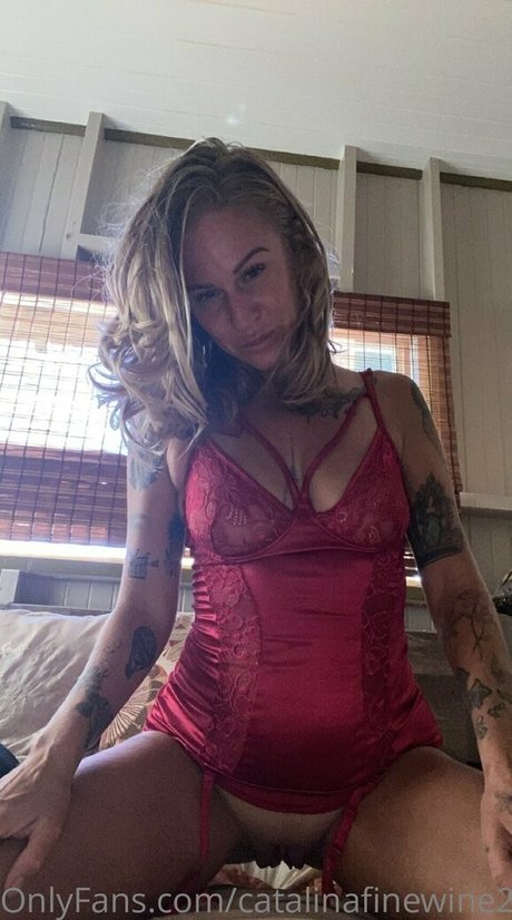 catalinafinewine2023 high quality star images