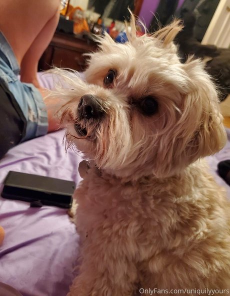 uniquilyyours erotic actress img