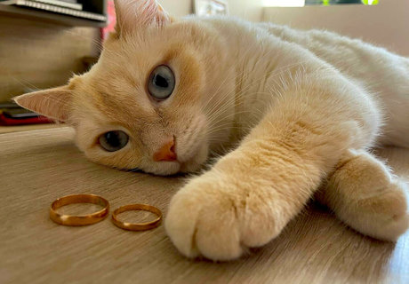 all of stacymoon model art photos