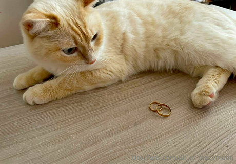 alt girl onlyfans art porn picture