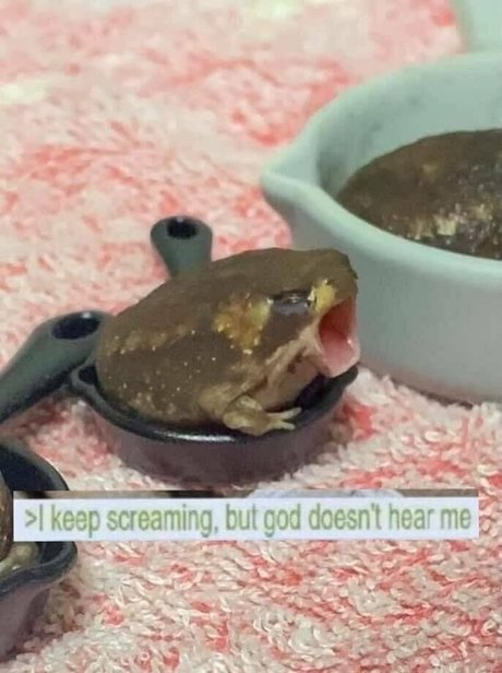 aloeaceae adult star image