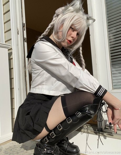 aloeaceae high quality model pics