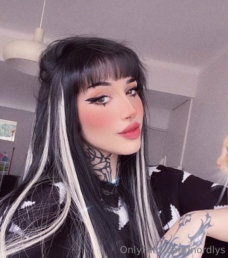 nordlys model hot img