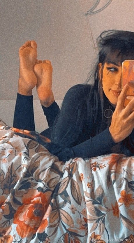 nordlys star best pictures