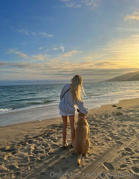 halloween onlyfans best archive