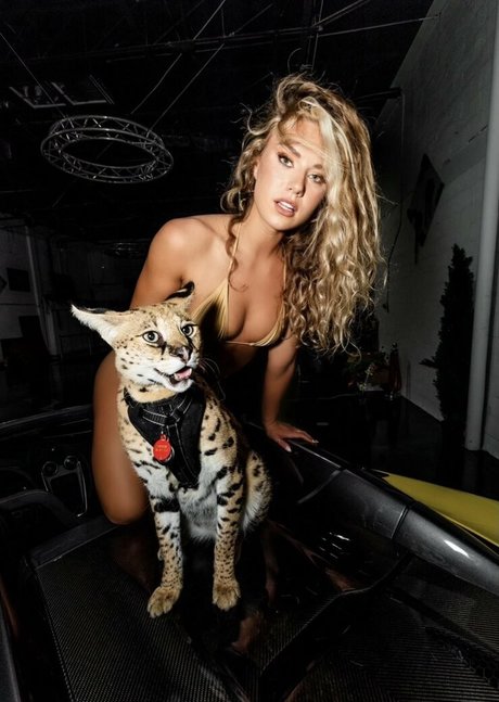 madisonbrock high quality pornstar gallery