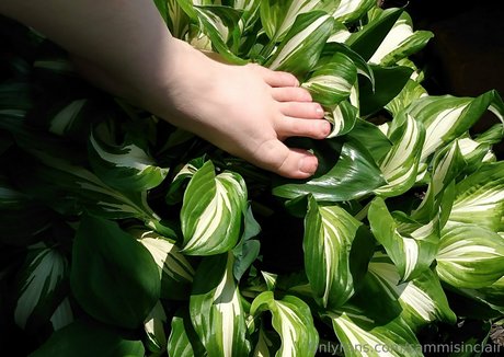 sammisinclair sexy star images