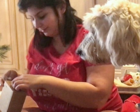 Caroline Casbon art pornstar img