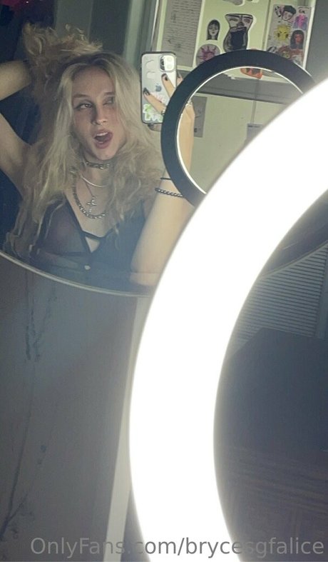 brycesgfalice star free images