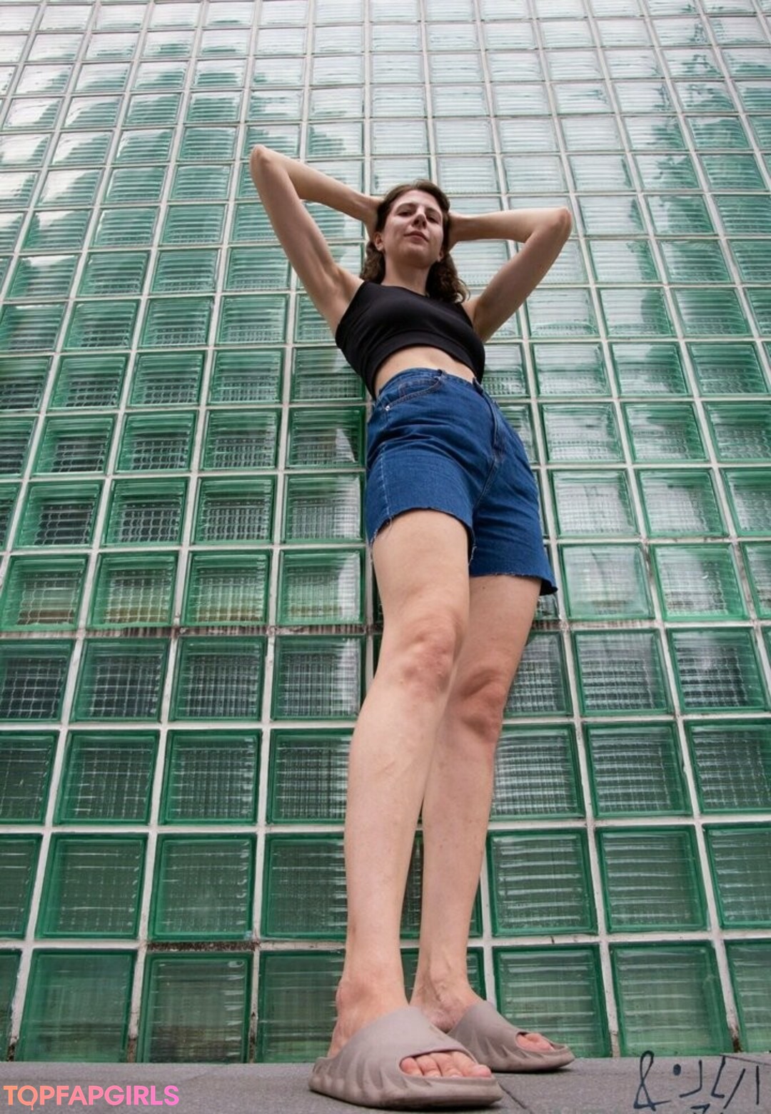 anntallogy star art archive