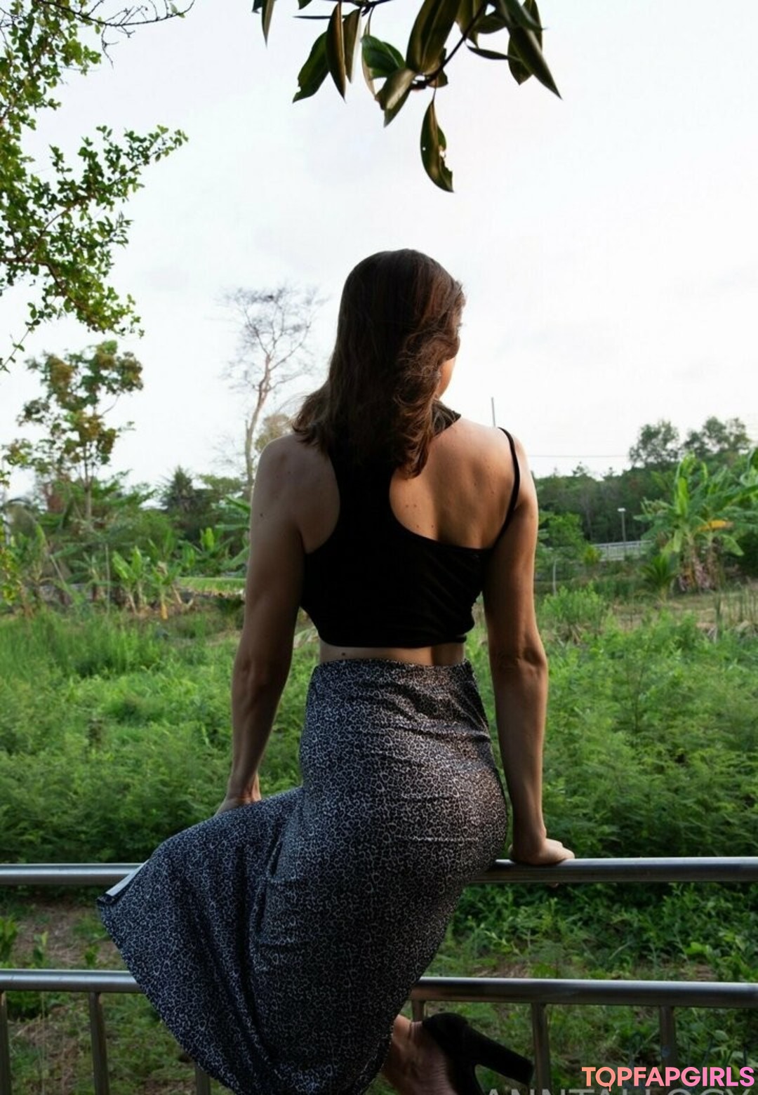 anntallogy perfect star pictures