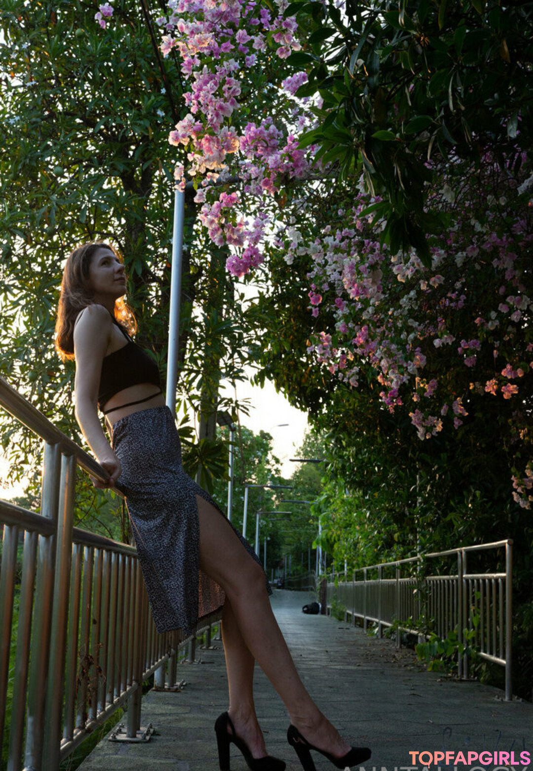 anntallogy nice star image