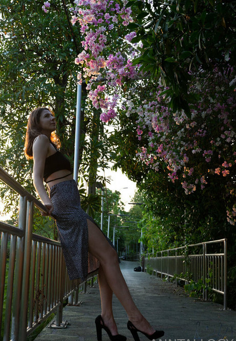 anntallogy nice star image