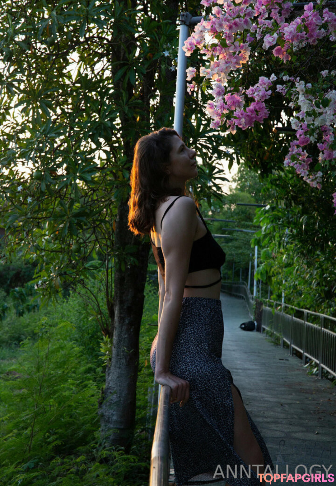 anntallogy pretty star images