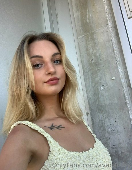 avacanary art model gallery