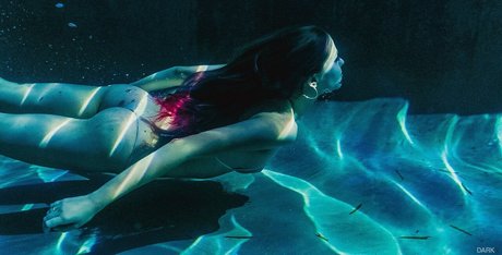 Haley Reed porn star pictures