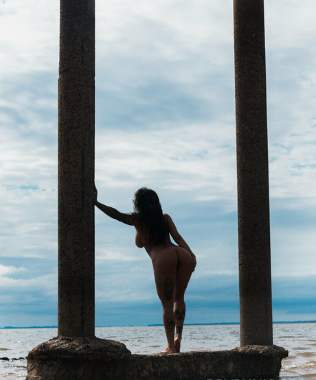 brypunkyfree star nice img