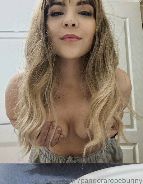 pandorabunny perfect pornstar galleries