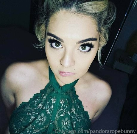 amateur trans onlyfans xxx archive