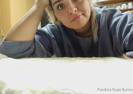 pandorabunny high quality actress pictures