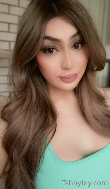 tshayleybaby top pornstar gallery