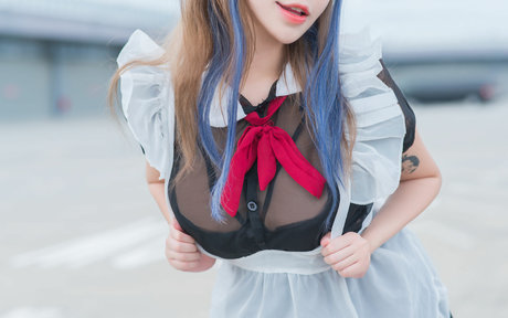 Plant Lily star nice picture