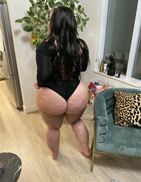 kingstephvip star exclusive gallery